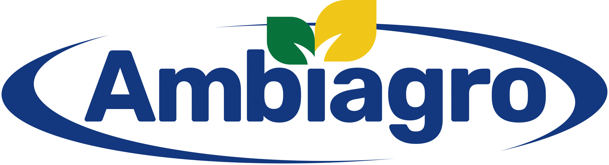 MARCA AMBIAGRO COLOR